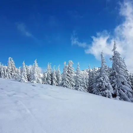 Karin, Tale, Chopok - Juh Апартаменты Быстра